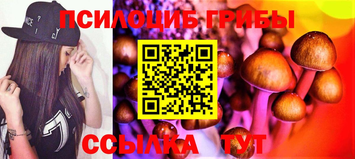 Нефтекамск  Галлюциногенные грибы MAGIC MUSHROOMS  цены наркотик  Вход с VPN 