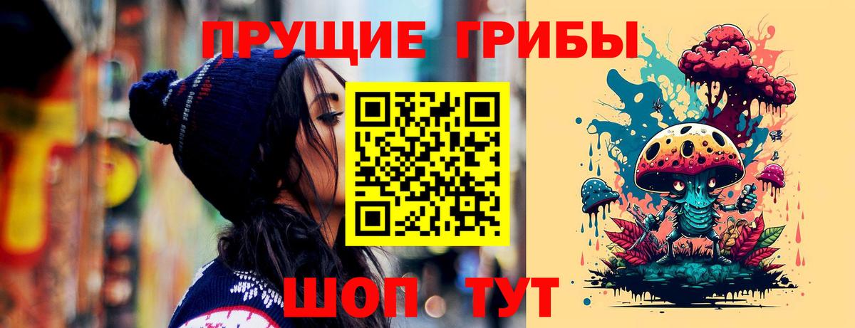 Галлюциногенные грибы Psilocybe Нефтекамск
